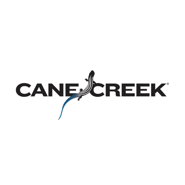 Cane Creek Helm Mkii kit revisione ARIA 100 ORE