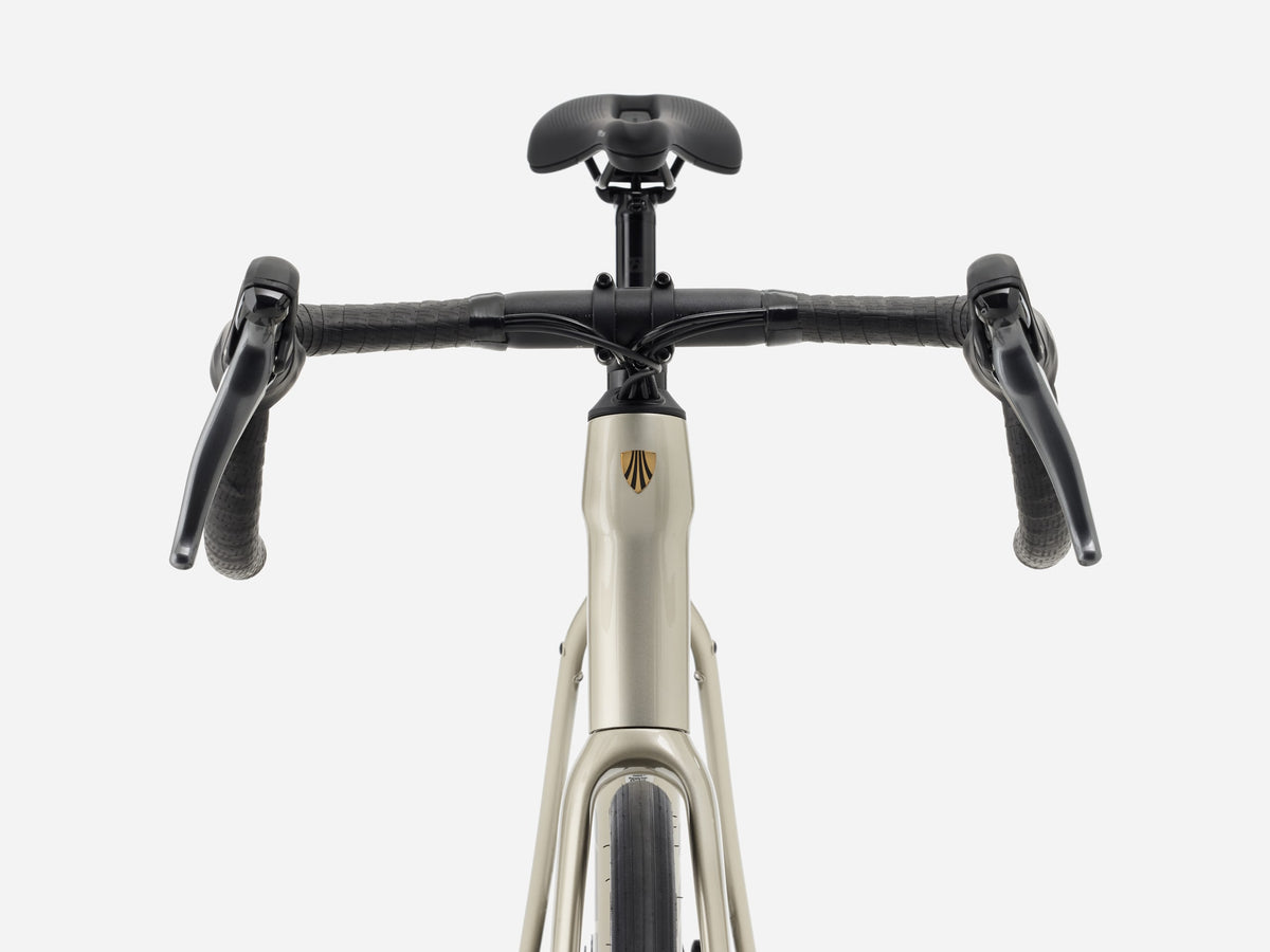 Trek Domane AL 2 Gen 4 Gloss Supernova
