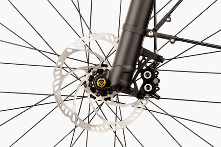 Riese & Müller Multicharger2 Mixte GT Family - foto 4