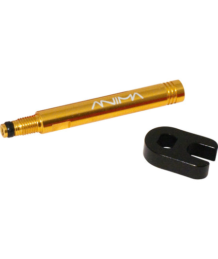 Anima prolunga valvola 41 mm Oro