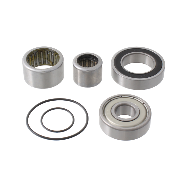 Wag KIT Revisione Motore Bosch GEN2 Performance/performance CX