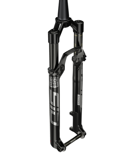 Forcella RockShox AM FS Sid SL Ultimate 29"
